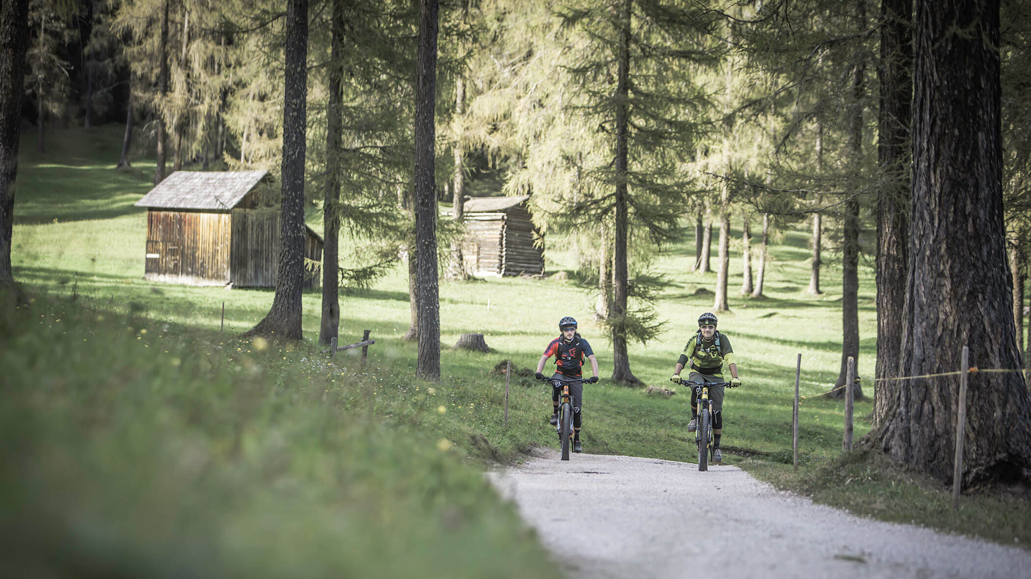 Due mountain biker su una strada forestale